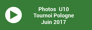 bouton pologne-01